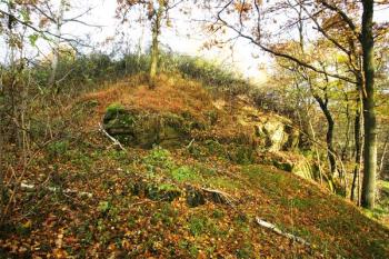 Skalnatý výběžek nad údolím Blanice, na němž stávala hlavní - zřejmě věžovitá - budova tvrze ( © Filip Matoušek 10/2006)
