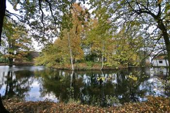 Tvrziště od jihu ( © Luděk Pitter 10/2006)
