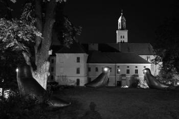  (© Tomáš Berka, 11/2007)
