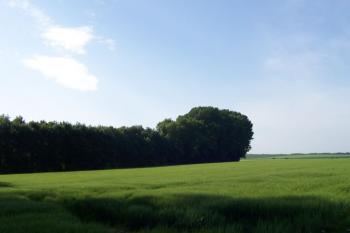 Pod Zápovědským kopcem (© Ivo Rozehnal, 07/2006)