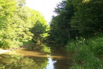 Pod Zápovědským kopcem (© Ivo Rozehnal, 07/2006)