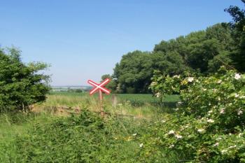 Pod Zápovědským kopcem (© Ivo Rozehnal, 07/2006)