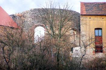  ( © Luděk Pitter 03/2004)