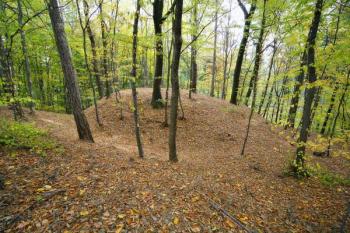 Tvrziště od severu ( © Filip Matoušek 10/2006)