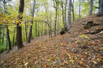 Prostor předpokládaného parkánu na jižní straně ( © Filip Matoušek 10/2006)