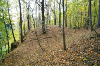 Tvrziště od severovýchodu ( © Filip Matoušek 10/2006)