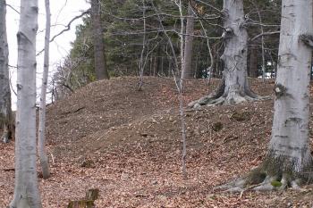 Terénní anomálie v místech zaniklého kamenného lomu. ( © Miroslav BITTER 2005)