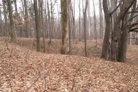 Skalický lom
