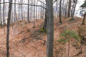Celkový pohled na lokalitu (vpravo snímku pak obnažený kamenný blok) (© Miroslav BITTER 2005)