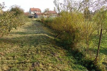 Možný zbytek hrany vnějšího příkopu na severu ( © Roman Řezáč 11/2006)