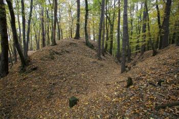 První příkop a čelní val - severovýchodní nároží ( © Filip Matoušek 10/2006)