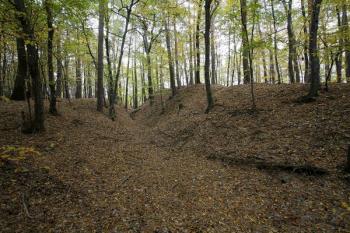 Střední úsek čelního valu, chráněného příkopem ( © Filip Matoušek 10/2006)