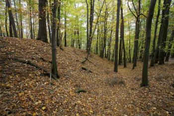 Druhý val v čele hradiště již není tak mohutný ( © Filip Matoušek 10/2006)
