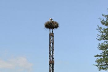  ( © Luděk Pitter 06/2006)