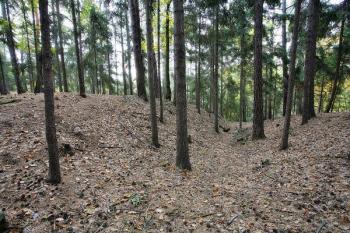 Příkop na severní straně, vlevo val ( © Filip Matoušek 10/2006)