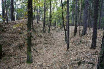 Příkop a val na východní straně ( © Filip Matoušek 10/2006)