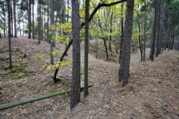 Zřejmě recentní přístupová šíje přibližně uprostřed opevnění na východní straně ( © Filip Matoušek 10/2006)