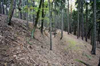 Příkop na jihovýchodě ( © Filip Matoušek 10/2006)