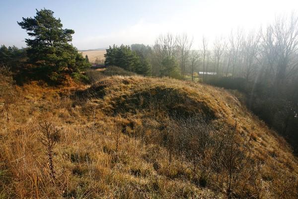 Petrovice