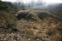 Petrovice