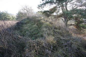 Pozůstatek  valu před příkopem na východní straně ( © Filip Matoušek 11/2006)