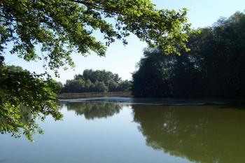 PP Hrdibořické rybníky (© Ivo Rozehnal, 07/2006)