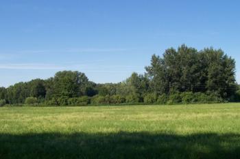 PP Hrdibořické rybníky (© Ivo Rozehnal, 07/2006)