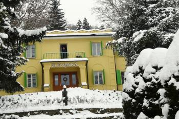 Slovenka (© Alena Volná,1/2010)