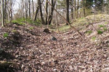 Zbytky příkopu chránícího předhradí na východní straně ( © Filip Matoušek 04/2003)