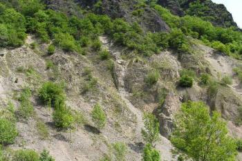 Kozí vrch (© Václav Čermák, 06/2006)