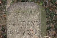 židovský hřbitov