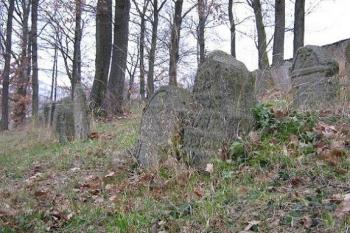 Starší hřbitovní oddíl (© Michal Hospr, 12/2006)