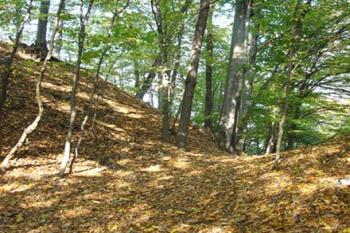  ( © Iva Spurná 14.10.2006)
