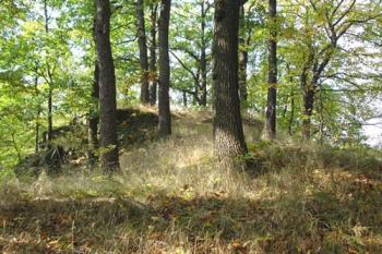  ( © Iva Spurná 14.10.2006)