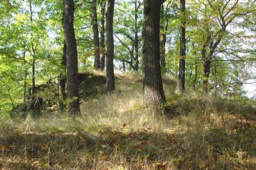 Leština