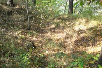  ( © Iva Spurná 14.10.2006)