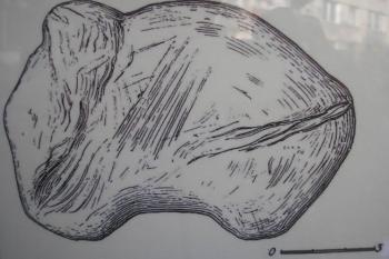 B. Klímou překreslená plastika mamuta pravěkého umělce z mamutoviny ( © Ondřej Štěpánek 10/2006)