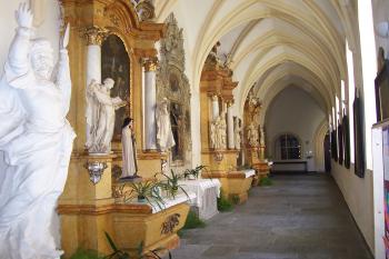 Olomouc - klášter dominikánů s kostelem sv. Michala - výstavní prostory (© Ivo Rozehnal, 06/2012)