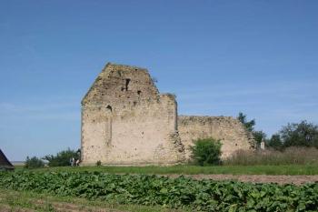 2. klášter Koruna (Krasíkov) - Zřícenina klášterního kostela (pohled od JV) (© George Párátko, 08/2005)