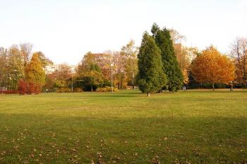 Plocha bývalého hřbitova (© Jan P. Štěpánek, 10/2006)