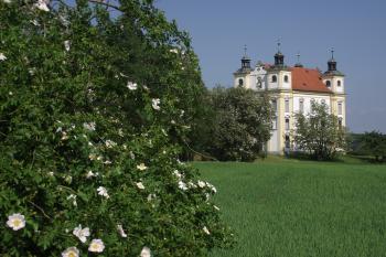  (© Michal Brůža, 05/2011)