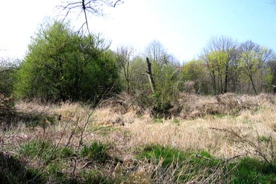 Kralupy nad Vltavou