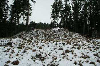 Celkový pohled na hrad (© Petr Nožička, 11/2008)