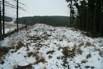 Pohled na plošinu hradu (© Petr Nožička, 11/2008)