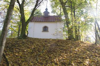 pohled z jádra na kapli (© D Dohňanský, 11/2016)