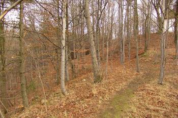 Severovýchodní bok jádra a přístupová cesta vedoucí po úbočí ( © Roman Řezáč 12/2006)