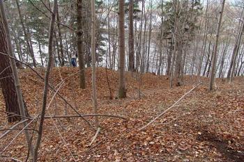 Příkop na jihozápadní straně jádra ( © Roman Řezáč 12/2006)