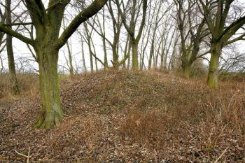 Tvrziště od východu z terénní hrany na okraji pole ( © Filip Matoušek 01/2007)