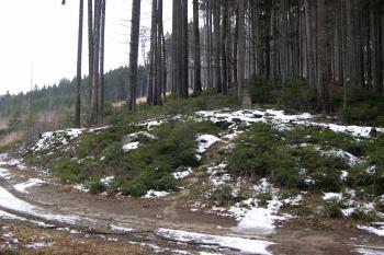 Památníček Andělíček u Valašských Klobouk (© George Párátko, 01/2007)