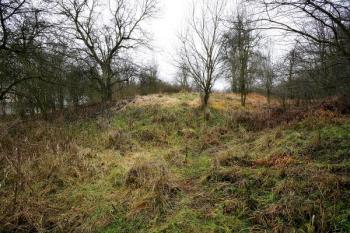 Tvrziště se zbytky příkopu (v popředí) ( © Filip Matoušek 01/2007)